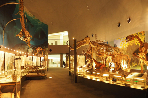 From Kanazawa: Eiheiji, Dinosaur Museum & Great Buddha