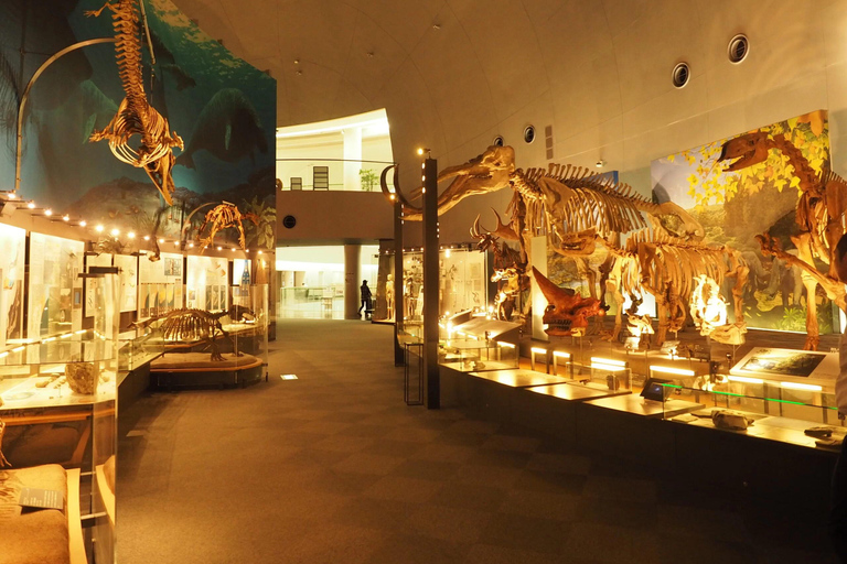 From Kanazawa: Eiheiji, Dinosaur Museum & Great Buddha