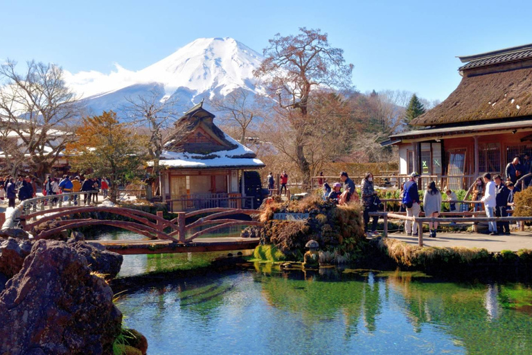 Da Tokyo: Monte Fuji Tour di un giorno personalizzato privatoTour privato del Monte Fuji completo e personalizzato con servizio di prelievo in hotel