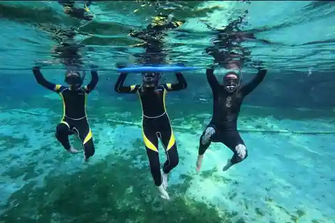 Private VIP Manatee Encounter