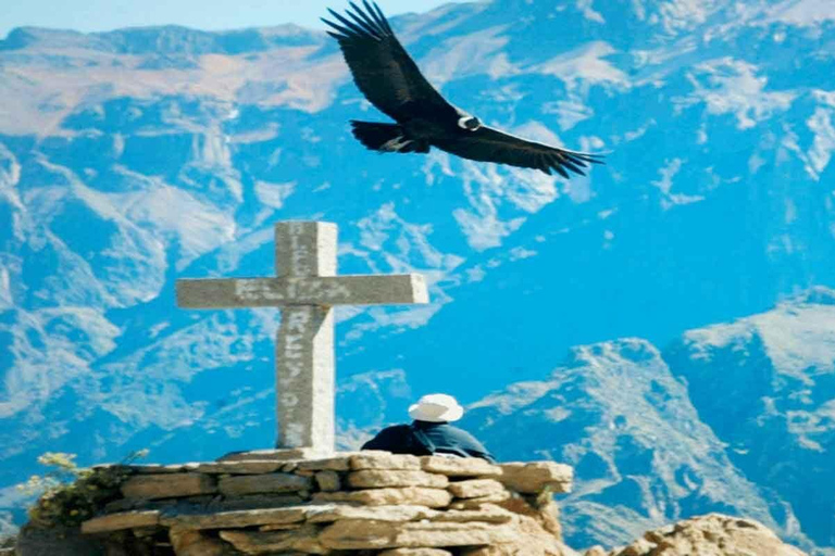 Arequipa: Excursión al Cañón del Colca + Traslado a Cusco