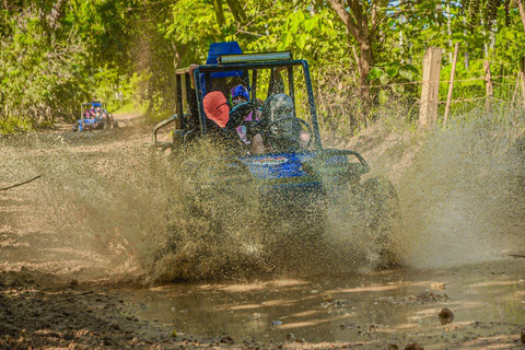 Punta Cana: Macao Reserve Premium Buggy Adventure with Guide Premium Single Rider Buggy