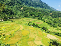 De Hanoi à Pu Luong 3 jours d'expériences inoubliables - Hizvo