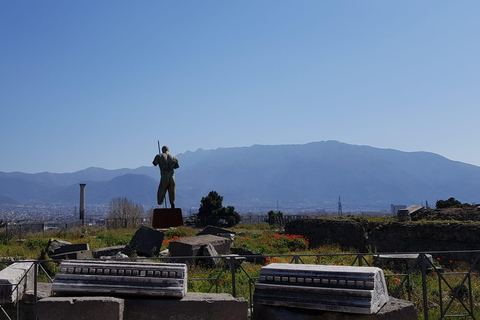 Från Rom: Dagsutflykt till Pompei