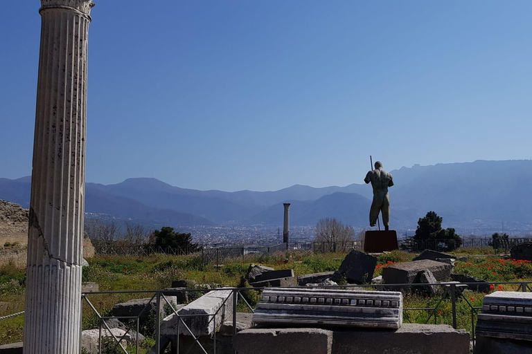 From Rome: Day Trip to Pompei