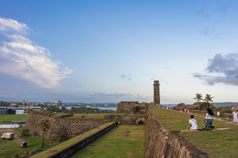 Colombo: Galle, Madu River Day Trip with Turtle Conservation