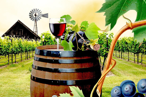 Bucharest: Salt Mine Tour with Wine Tasting