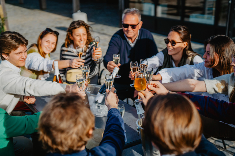 Boat trip & wine tour in Bruges