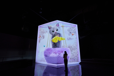 Paju: Museum HEI Immersive Media Art Exhibition Entry Ticket