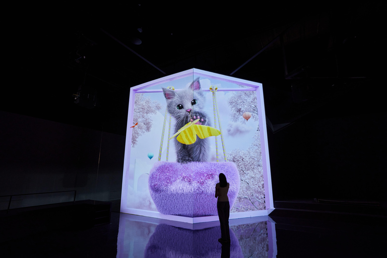 Paju: Museum HEI Immersive Media Art Exhibition Entry Ticket