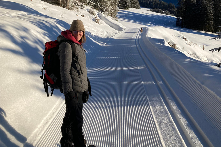 Ehrwald : Randonnée en raquettes à Zugspitze avec vue sur les montagnes