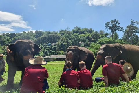 Rantong elephant sanctuary Chiangmai