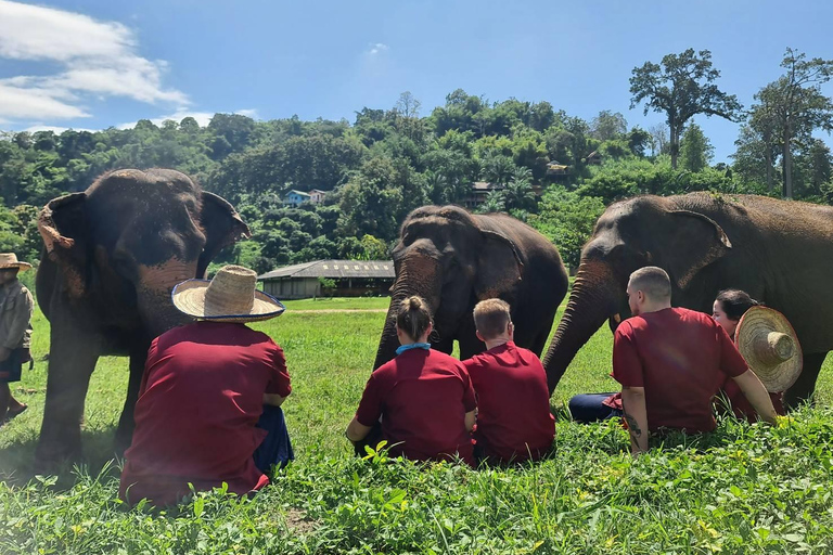 Rantong elephant sanctuary Chiangmai