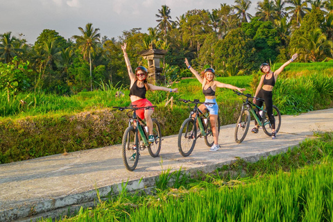 E-Bike : Cyclisme dans les rizières en terrasses et les villages traditionnels d'UbudE-Bike & Repas & Transfert non à Ubud