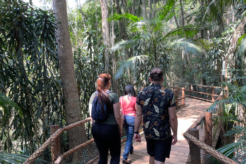 São Paulo: Botanical Garden Guided Tour mit Biologe(Wochenenden) SP. Tour durch den Botanischen Garten mit Biologin