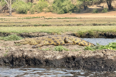 Livingstone: Chobe River Premium Photo Cruise