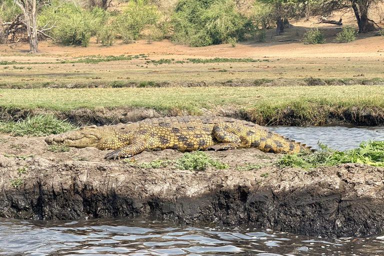 Livingstone: Chobe River Premium Photo Cruise