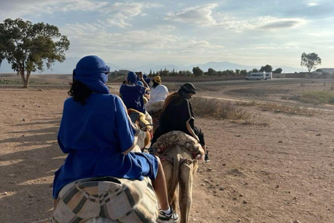 Marrakech: Camel & Quad Bike Tour with Sunset, Dinner & Show