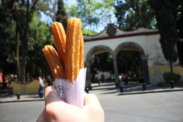 Città del Messico: Tour in bicicletta di Coyoacan con il Museo Frida KahloMuseo Frida Kahlo VIP: Salta la fila, biciclette e churros