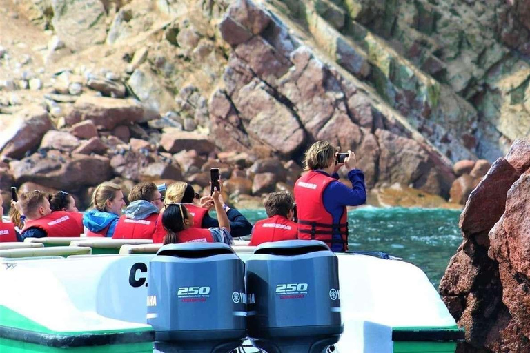 Excursion : Les îles Ballestas et la réserve nationale de Paracas