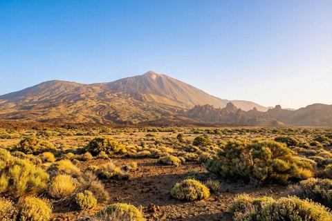 Private Teide & North Tenerife: Volcano, Valleys & Old Towns Afternoon Tour with Sunset Views