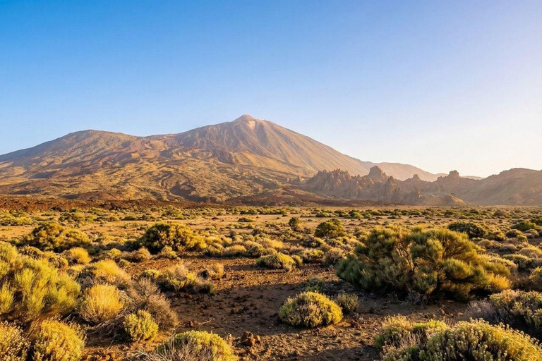 Private Teide & North Tenerife: Volcano, Valleys & Old Towns Afternoon Tour with Sunset Views