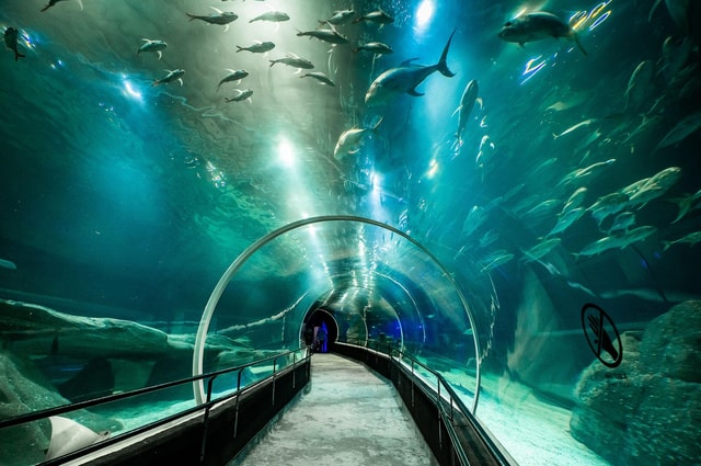 Boulevard Olímpico/AquaRio/Roda Gigante