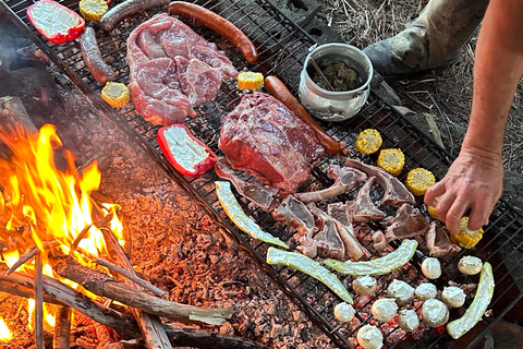 Vineyard, Valparaiso, Horseback Riding, Sea L &amp; BBQ Day Trip