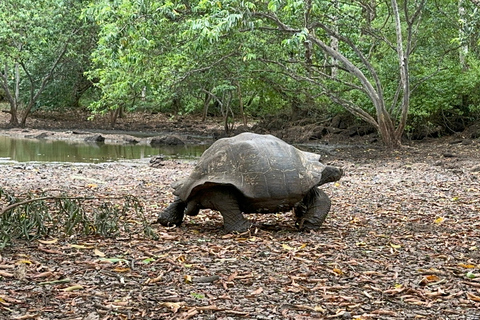 GPS Galapagos Transferts aéroport et visites des points fortsTransferts et excursions pour l&#039;escapade aux Galápagos