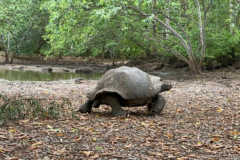 Trasferimenti aeroportuali e tour di rilievo con GPS delle GalapagosTrasferimenti e tour per le Galapagos Getaway