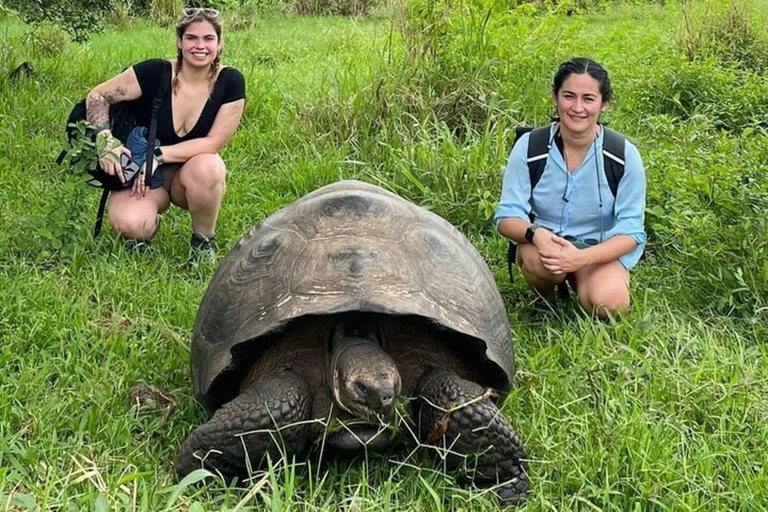 Galápagos : tortues géantes, tunnels de lave et cratèresGalápagos : visite guidée des tortues géantes, des tunnels de lave et des cratères