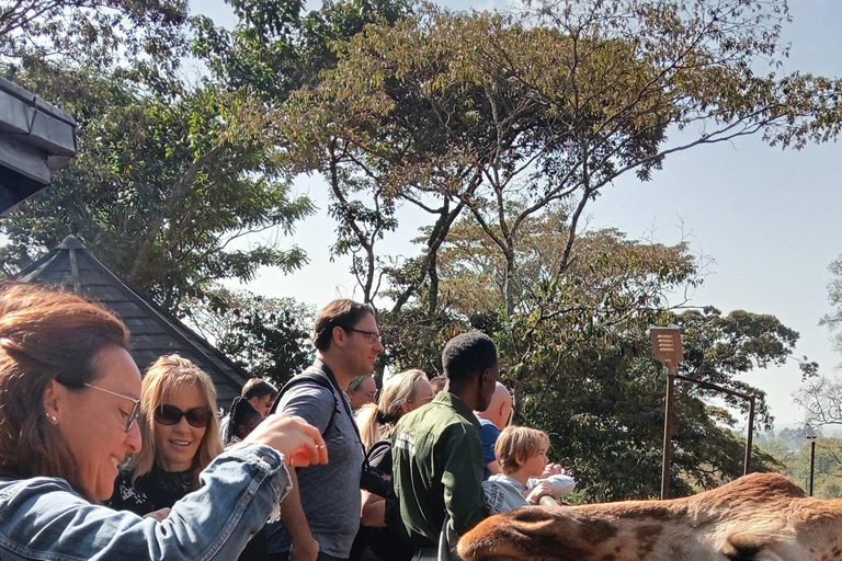 Demi-journée - orphelinat des éléphants, centre des girafes et fabrique de perles