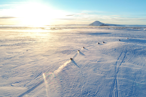 Akureyri: Lake Mývatn Snowmobile Tour with Pickup Solo Ride on Snowmobile