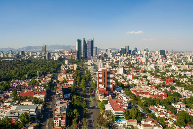 Visite à pied en famille à Mexico : Histoire et culture