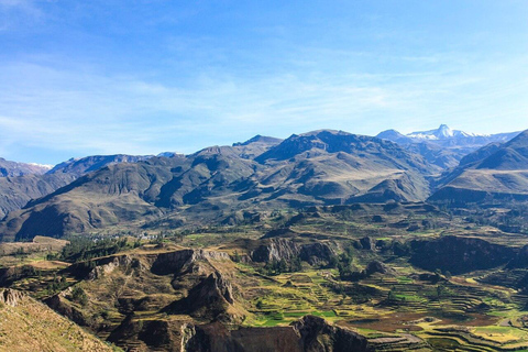 Preço da oferta: Um dia no Cânion do Colca em Arequipa com café da manhã