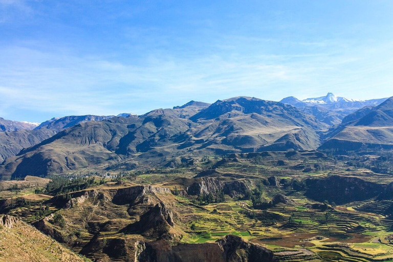 Tour del Canyon del Colca di un giorno ad Arequipa con prima colazione