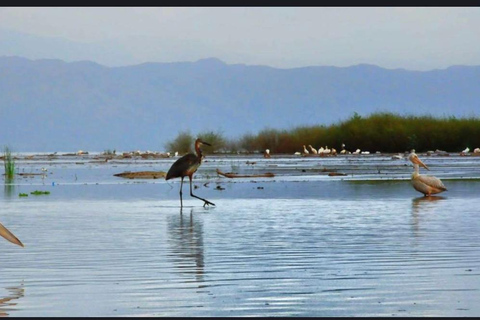 Etiopia: 8-dniowa wycieczka do doliny Omo i jezior Rift Valley