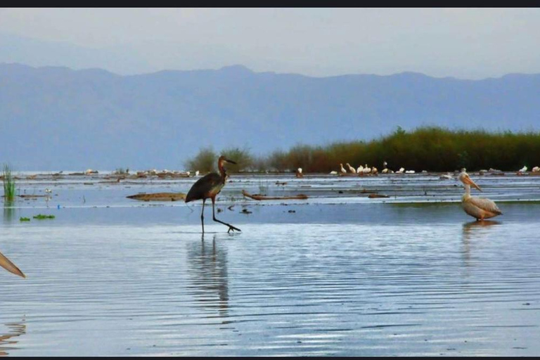 Etiopia: 8-dniowa wycieczka do doliny Omo i jezior Rift Valley