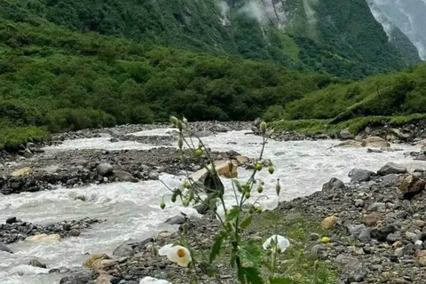 Pkr/Katmandou : Trek de 5 jours au camp de base de l'Annapurna et aux sources chaudesAu départ de Katmandou : trek ABC de 5 jours avec billets d'avion aller simple