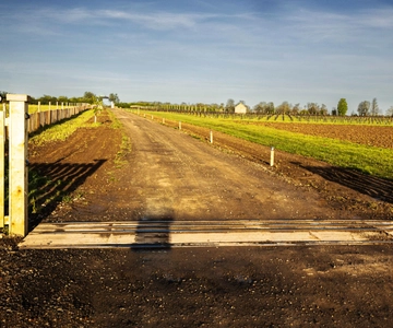 Yorkshire: Loversall Vineyard Wine Tasting and Tour