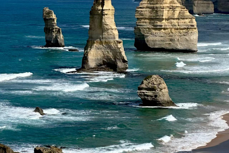 Melbourne : Circuit d&#039;une journée sur la Great Ocean Road avec les lieux emblématiques