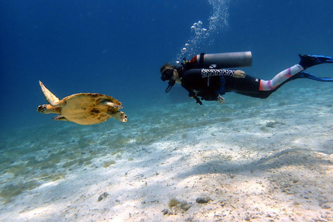 Phuket: Scuba Diving Try Dive with Hotel Pickup