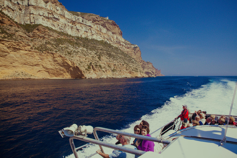 Vanuit Bandol: Bezoek de 13 calanques van Cassis &amp; Marseille