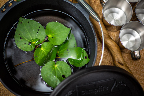 Whirinaki Forest Footsteps Guidad promenad