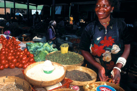 Livingstone: City Tour with Museum and Maramba Village