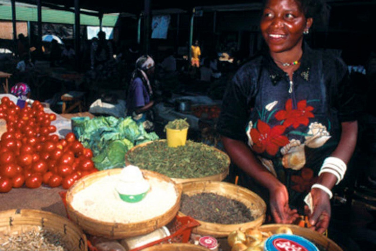 Livingstone: City Tour with Museum and Maramba Village