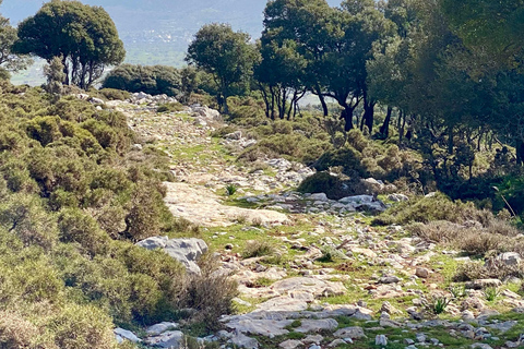 Creta: Excursión Guiada de Senderismo por la Meseta de Lassithi