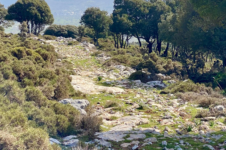 Creta: Excursión Guiada de Senderismo por la Meseta de Lassithi