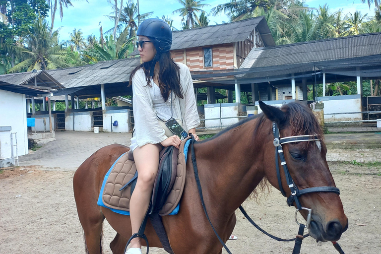 Bali : Beach Horse Riding Experience & Hidden Waterfall Beach Horse Riding Experience + Hidden Waterfall