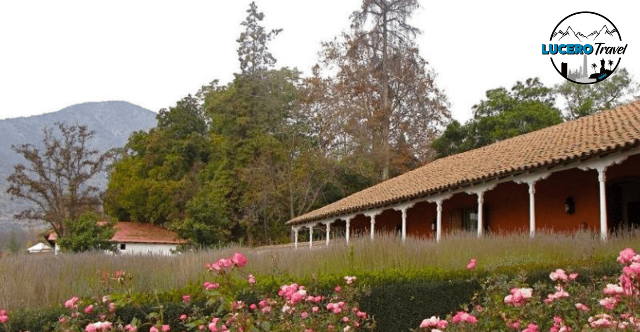 Vignoble de Santa Rita - Hizvo